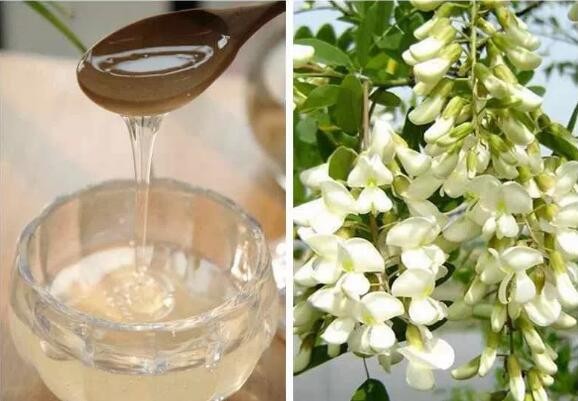 喝槐花蜜的好处?槐花蜜里有什么营养?